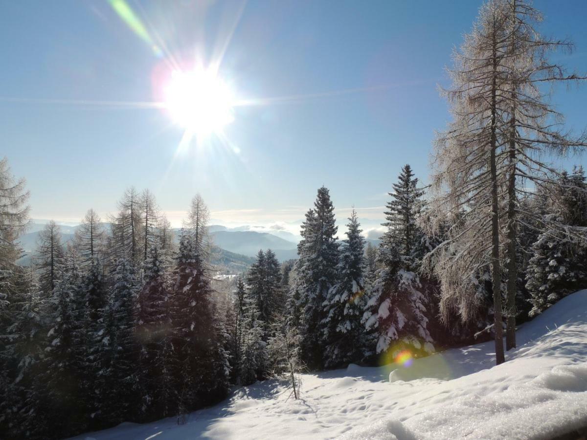 Villa-Alpenblick Hochrindl Buitenkant foto